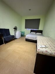 Macpherson Lane (D13), Terrace #455670441